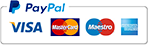 pay icon